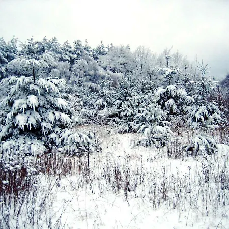 Fewo-mundi Prázdninový dům Egestorf