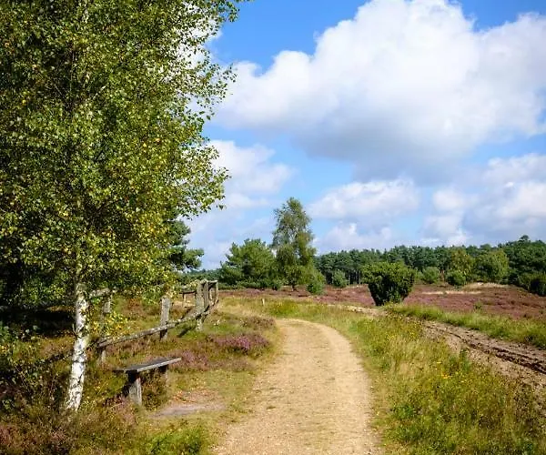 度假居 Fewo-mundi 埃格斯托夫