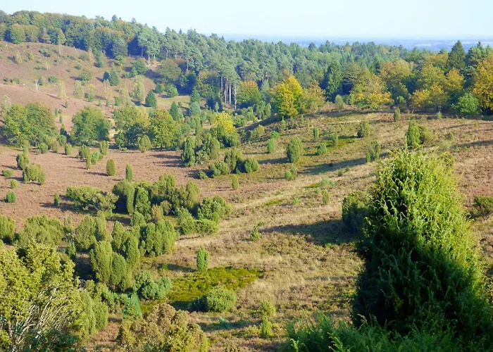 Fewo-mundi * 埃格斯托夫