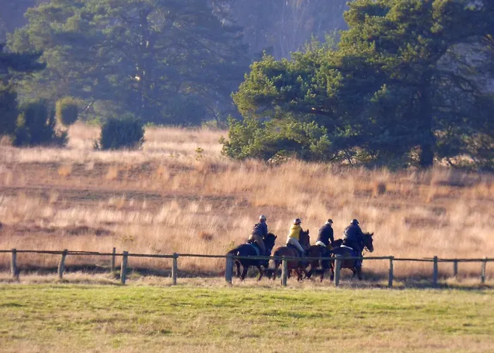 Fewo-mundi 度假居
