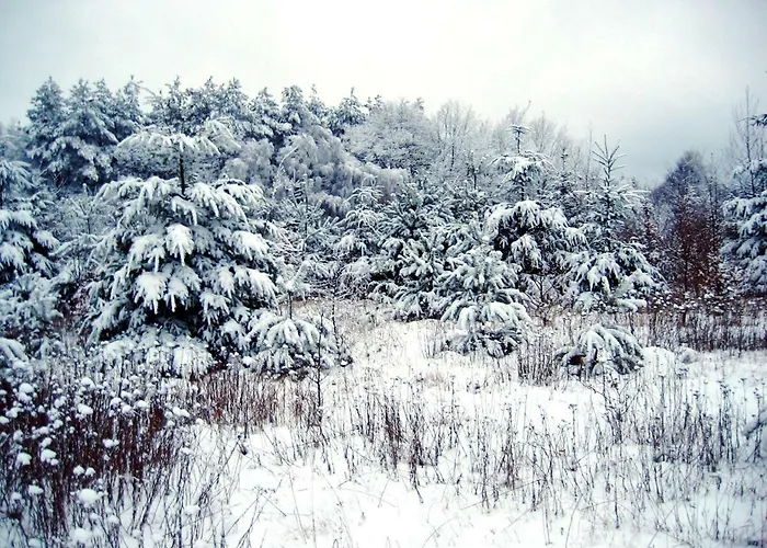 Fewo-mundi 度假居 埃格斯托夫